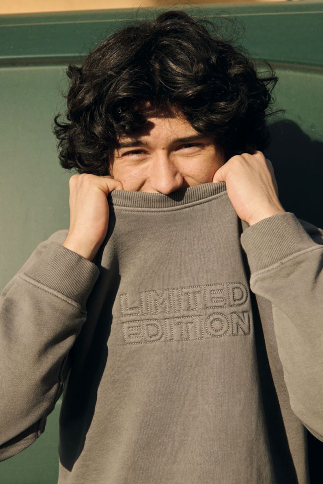 Grey Limited Edition Boys Sweat