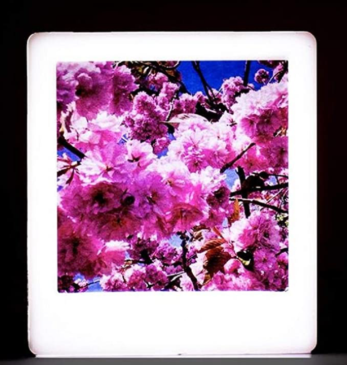 Photo Rose LED LightBox - KIDDING | Kids | Teens | Moms